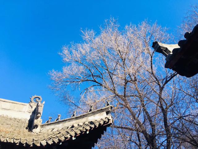 高句丽遗址公园旅行图片 10