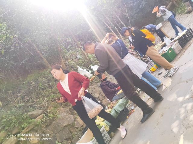 那柯里茶马驿站旅行图片 3