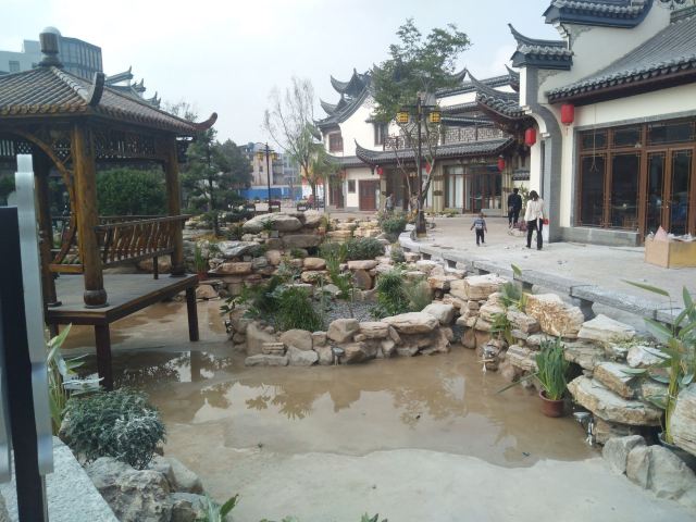 金山古镇旅行图片 6
