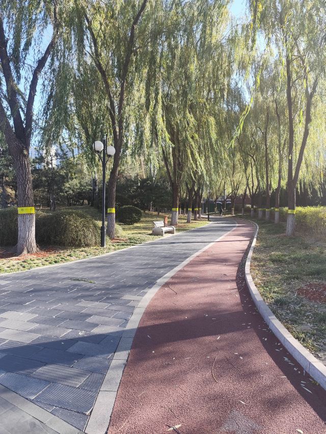 北京国际雕塑公园旅行图片 3