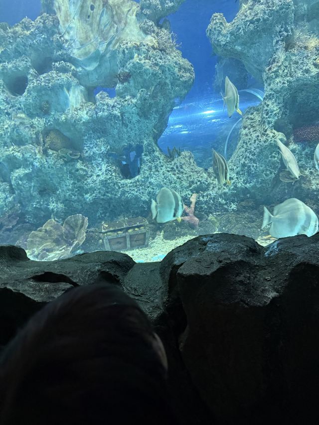 栖霞山风景名胜区旅行图片 1