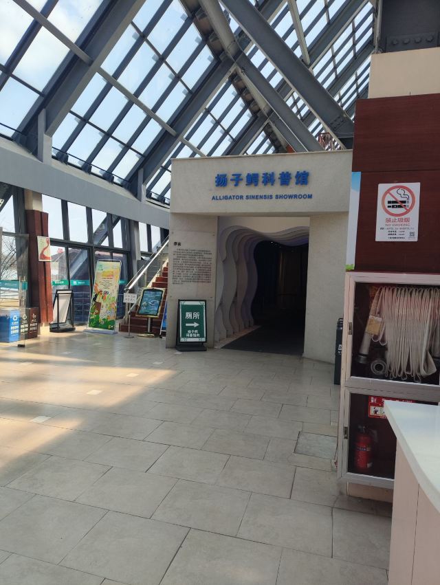 上海东滩湿地公园旅行图片 1