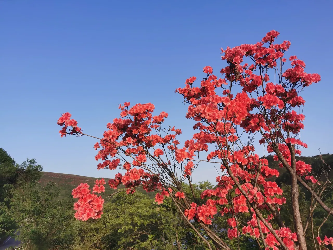 黔灵山公园-贵阳-我爱一个人的旅游