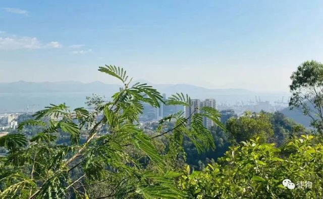 南山公园旅行图片 1