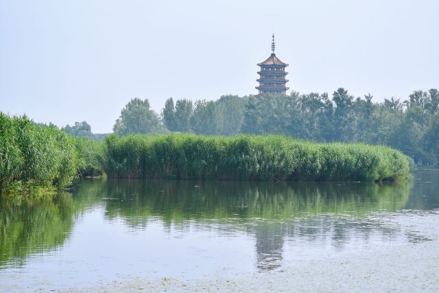 东湖公园旅行图片 5