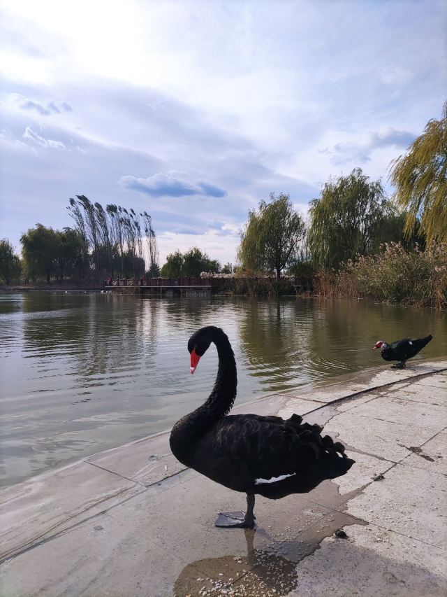官庄公园旅行图片 15