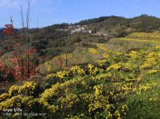 婺源-郭润龙浪迹天涯