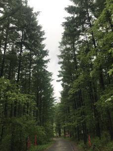 牡丹峰国家森林公园-牡丹江-豪华邮轮