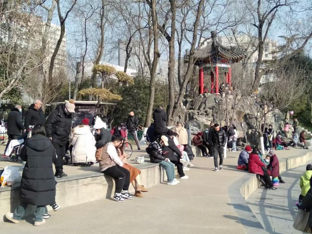 莲湖公园旅行图片 3