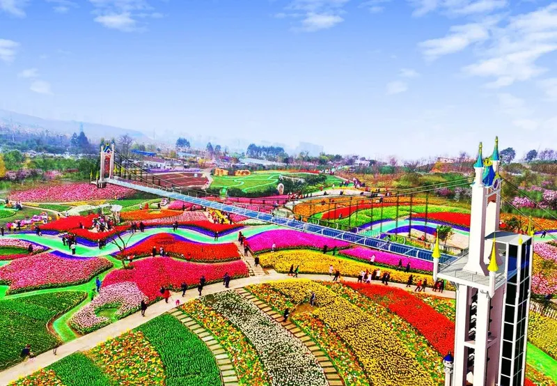 漫花庄园-成都-M25****2956