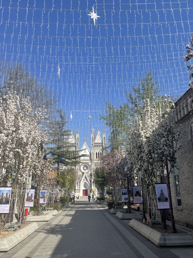 天主教北京总教区西什库主教座堂旅行图片 1