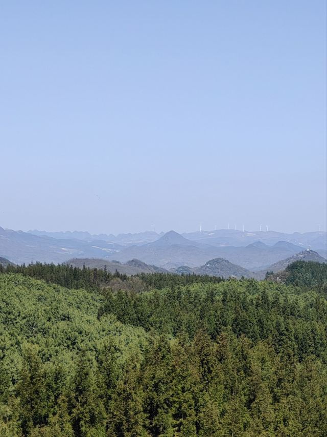 水城国家杜鹃公园旅行图片 1