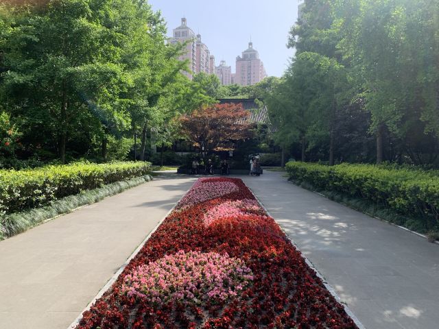 蓬莱公园旅行图片 4