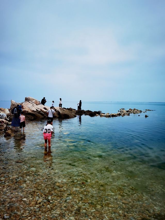养马岛林间花海旅行图片 2