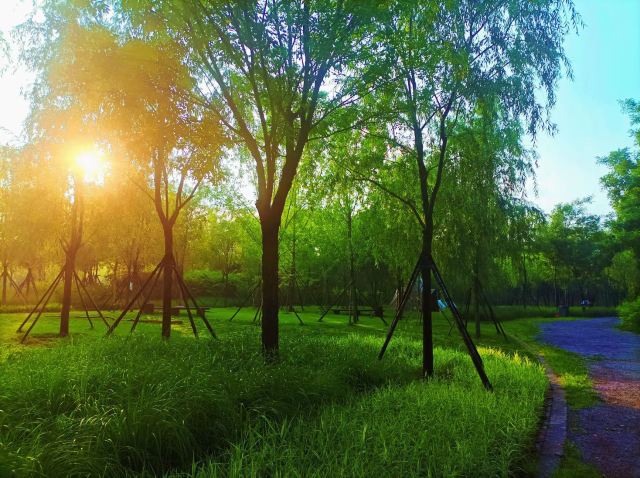 南苑森林湿地公园旅行图片 3