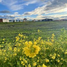 阿克班玛环湖度假营地-共和-YoYo_7V6R6T1D