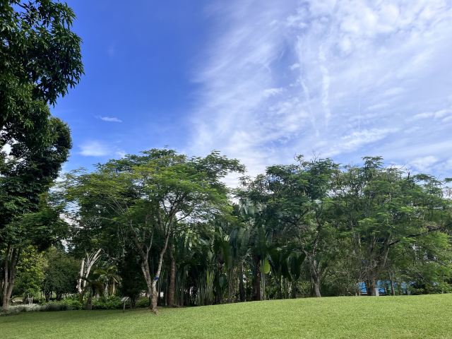 西双版纳热带植物园-百香园旅行图片 2
