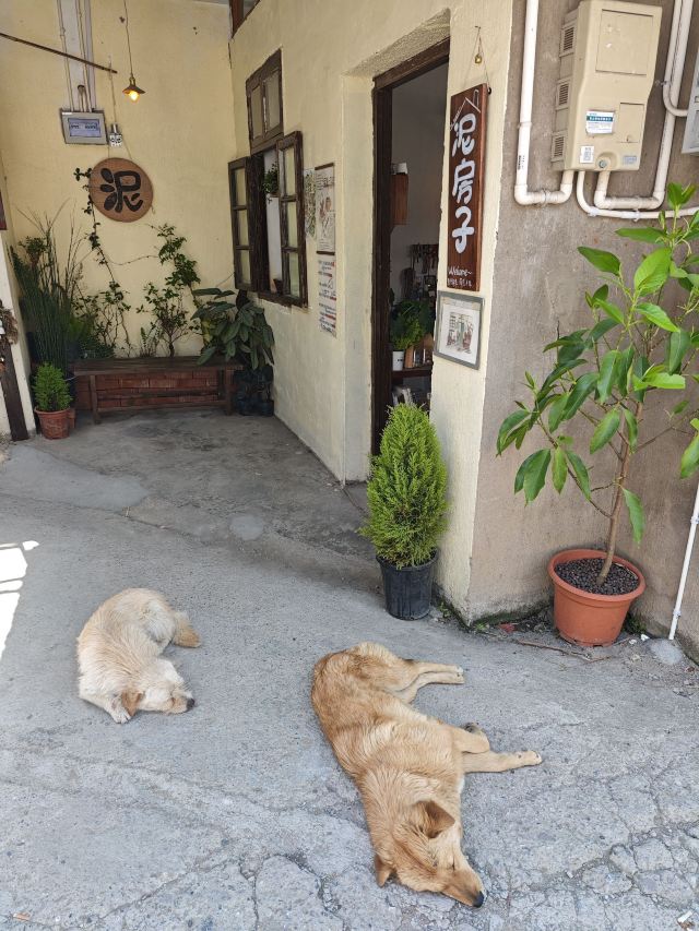 佘村明清代建筑群旅行图片 11