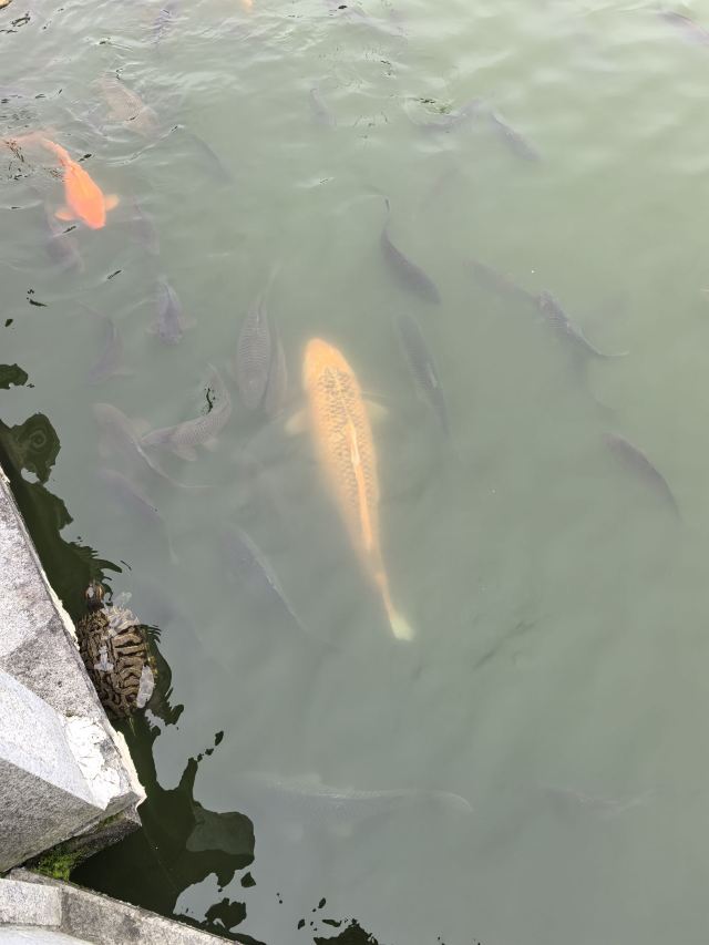 文昌里历史文化街区旅行图片 1