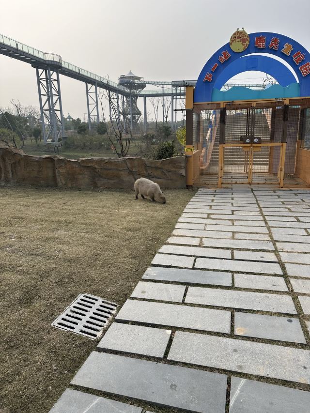 森灵欢乐世界旅行图片 3
