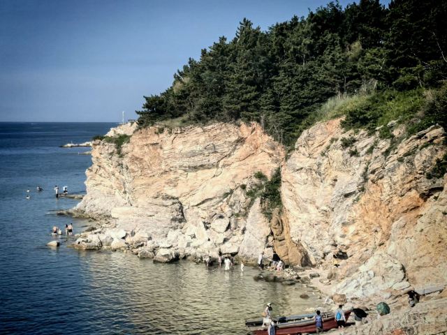 养马岛林间花海旅行图片 1