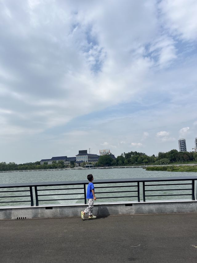 中共岳阳南湖风景区工作委员会旅行图片 3