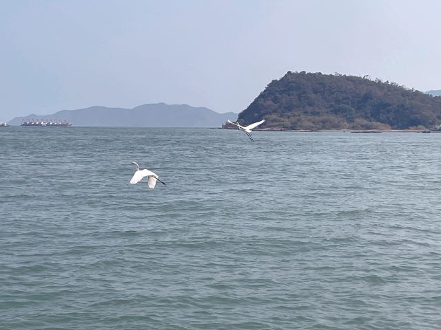 滨海公园旅行图片 12