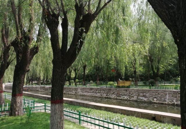 沈采公园旅行图片 1
