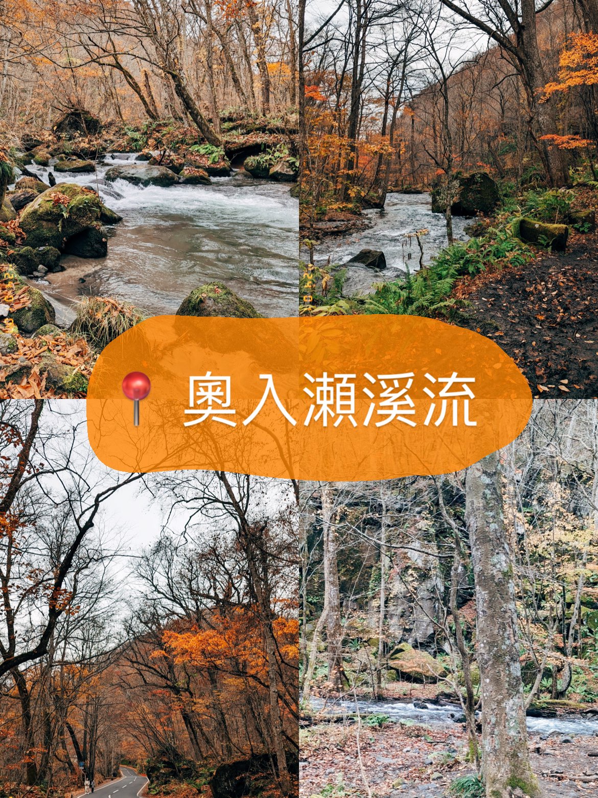 🇯🇵日本青森奥入濑溪流👣四季都有不同的样貌🥳