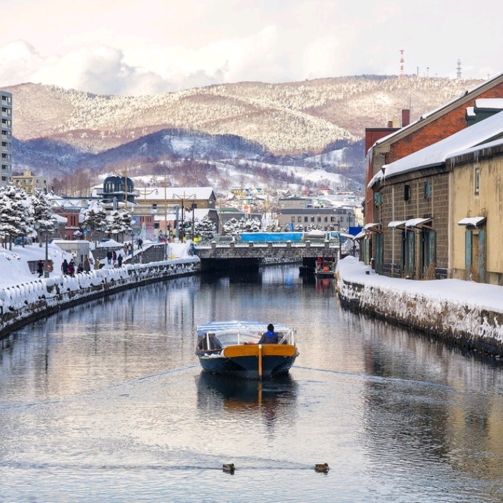 小樽雪光路节北海道