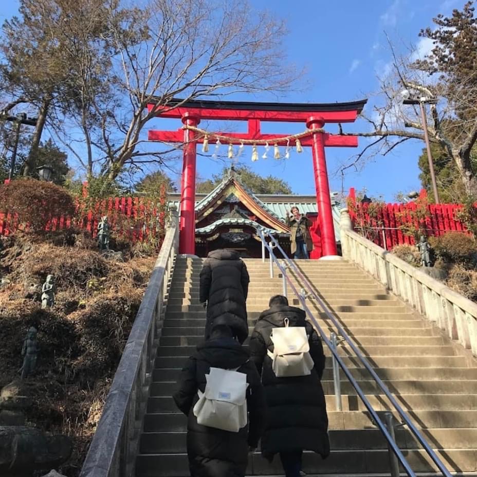 高冈山🌳🗻⛰️