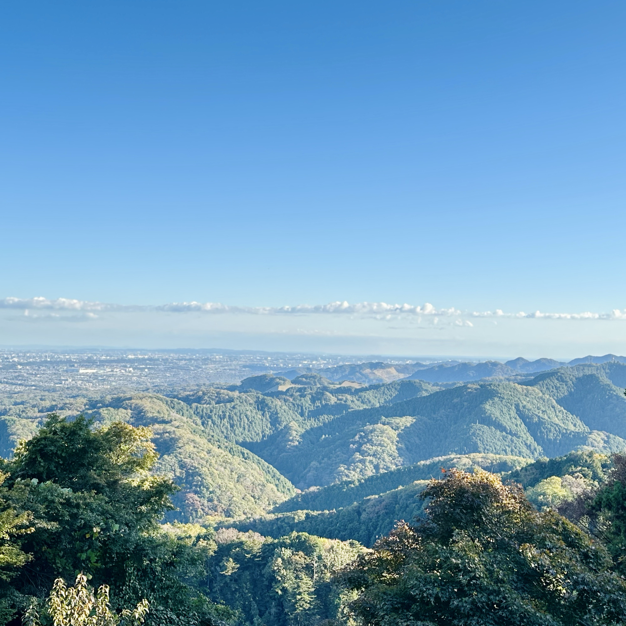 高尾山：登山爱好者的天堂与大自然融合之所