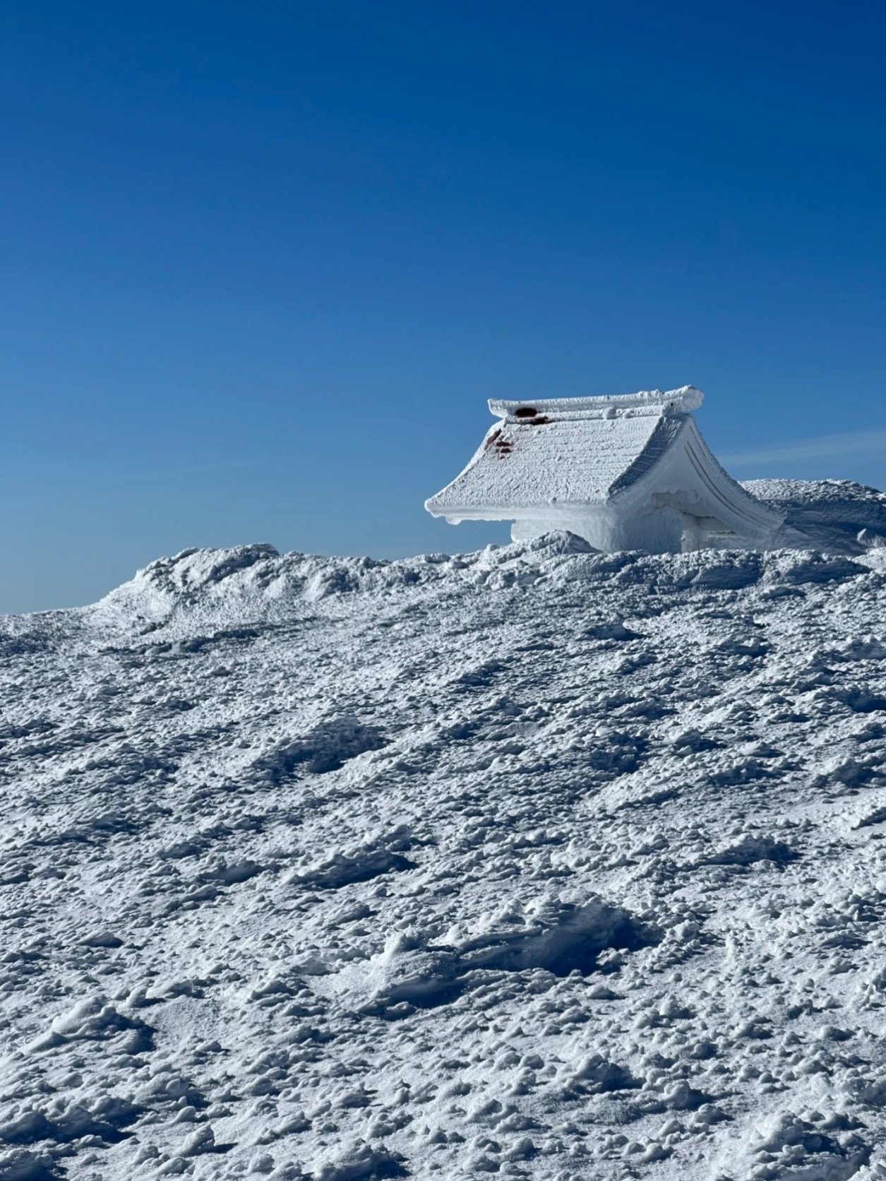 藏王连峰：宫城县的四季奇景🏔️⛷️