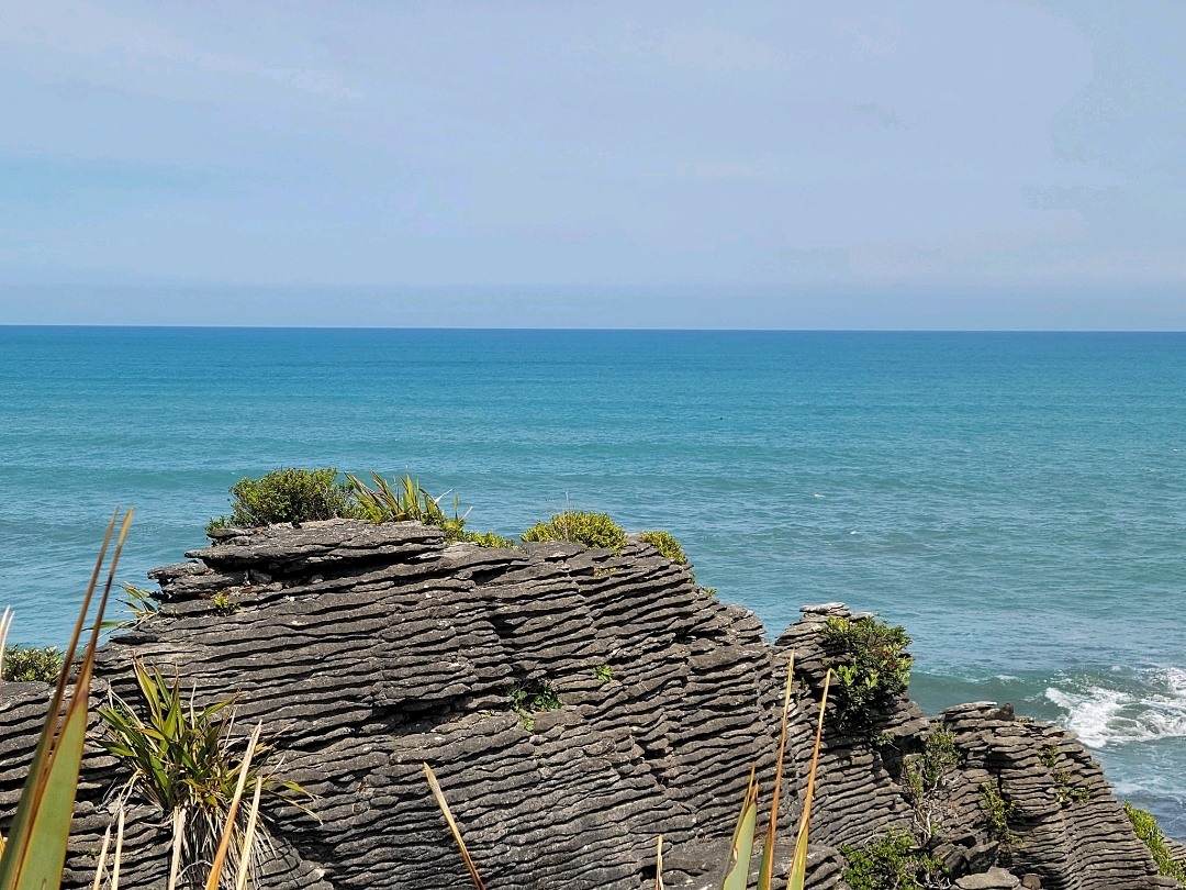 新西兰南岛有煎饼🥞形状的岩石吗?