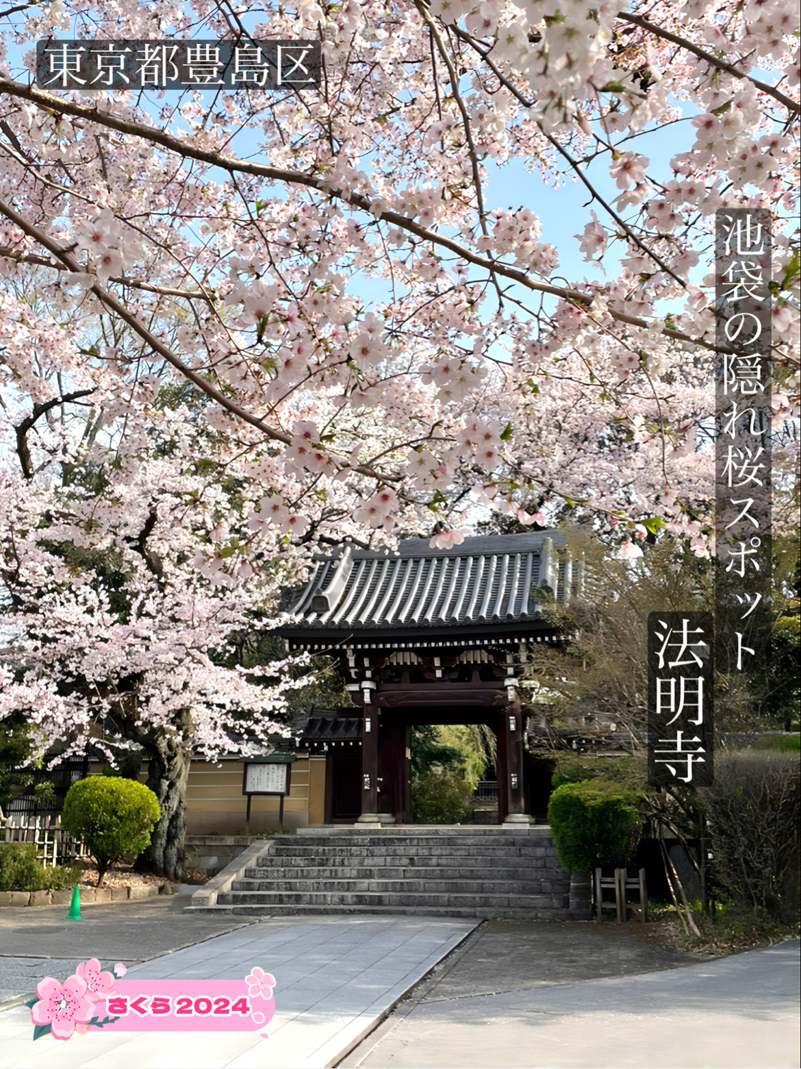 【法明寺/东京都】池袋的隐藏樱花景点