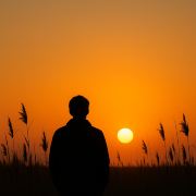 旅行の猫🐱0552