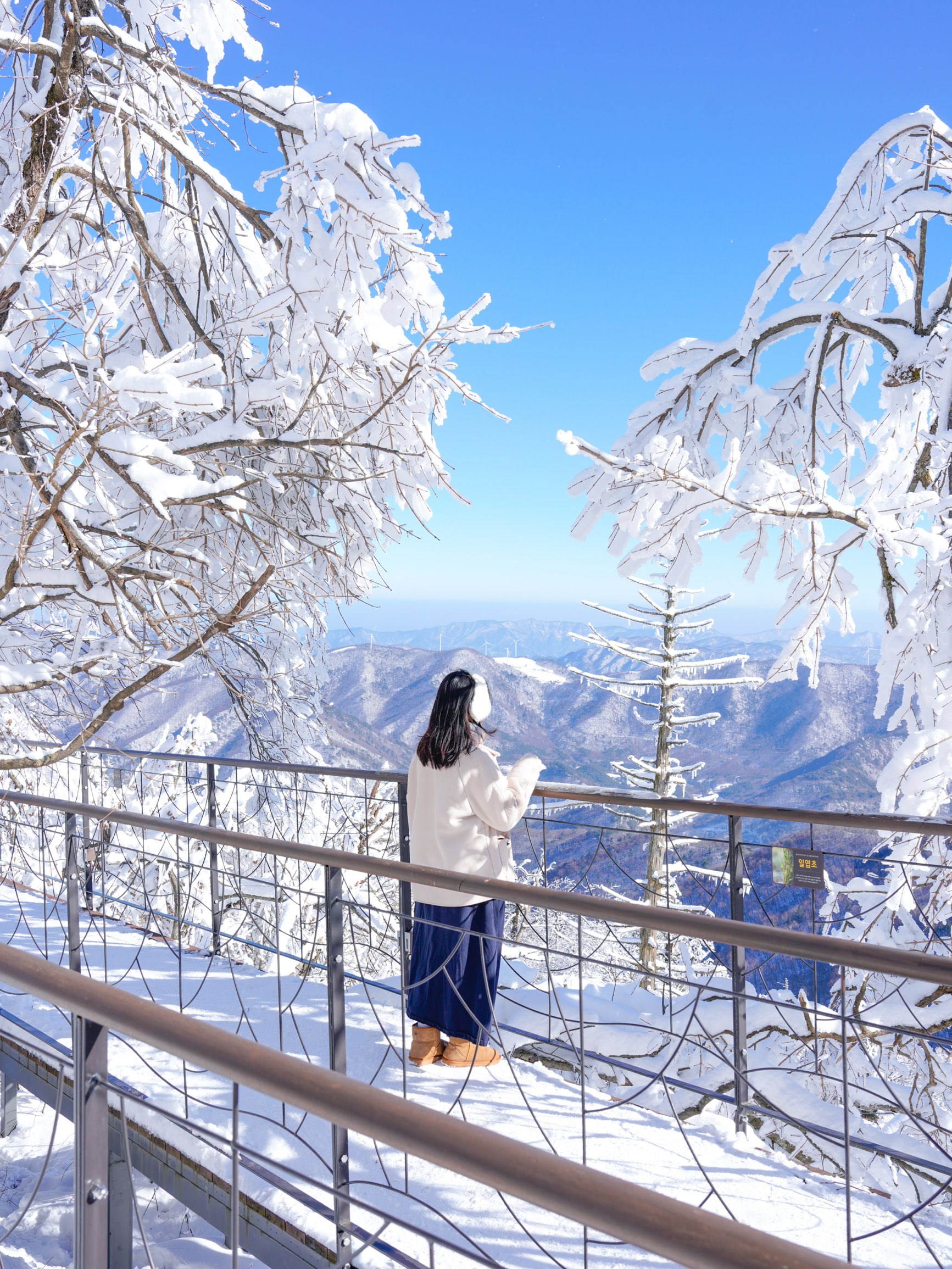 您只能乘坐缆车上山才能看到的史诗级雪山风景🩵
