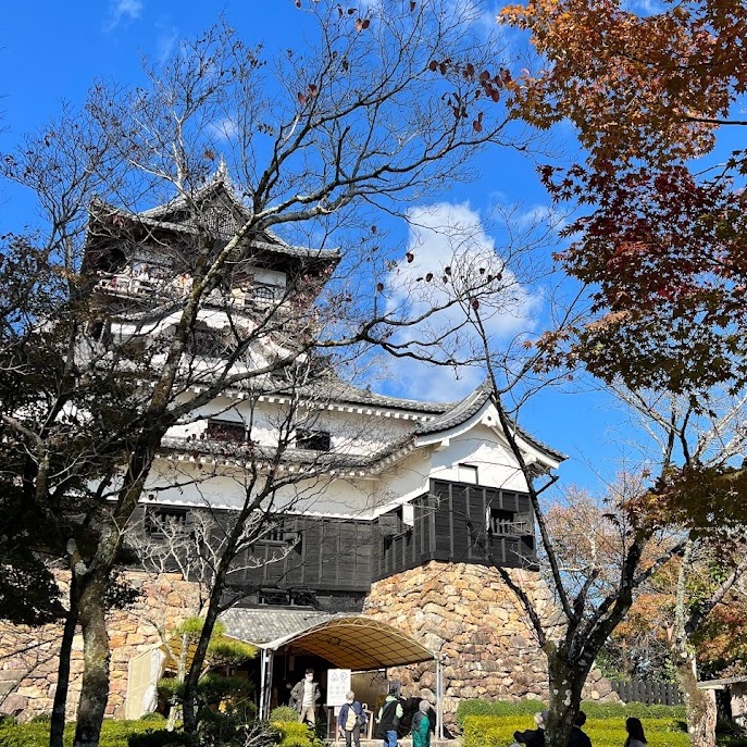 名古屋的稻山城堡