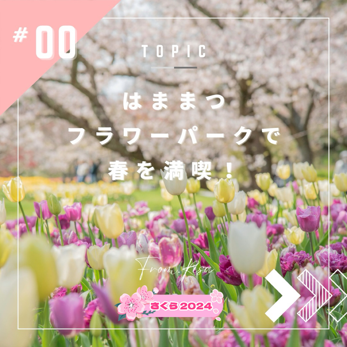 🌸 [静冈]在滨松花卉公园享受春天🌸