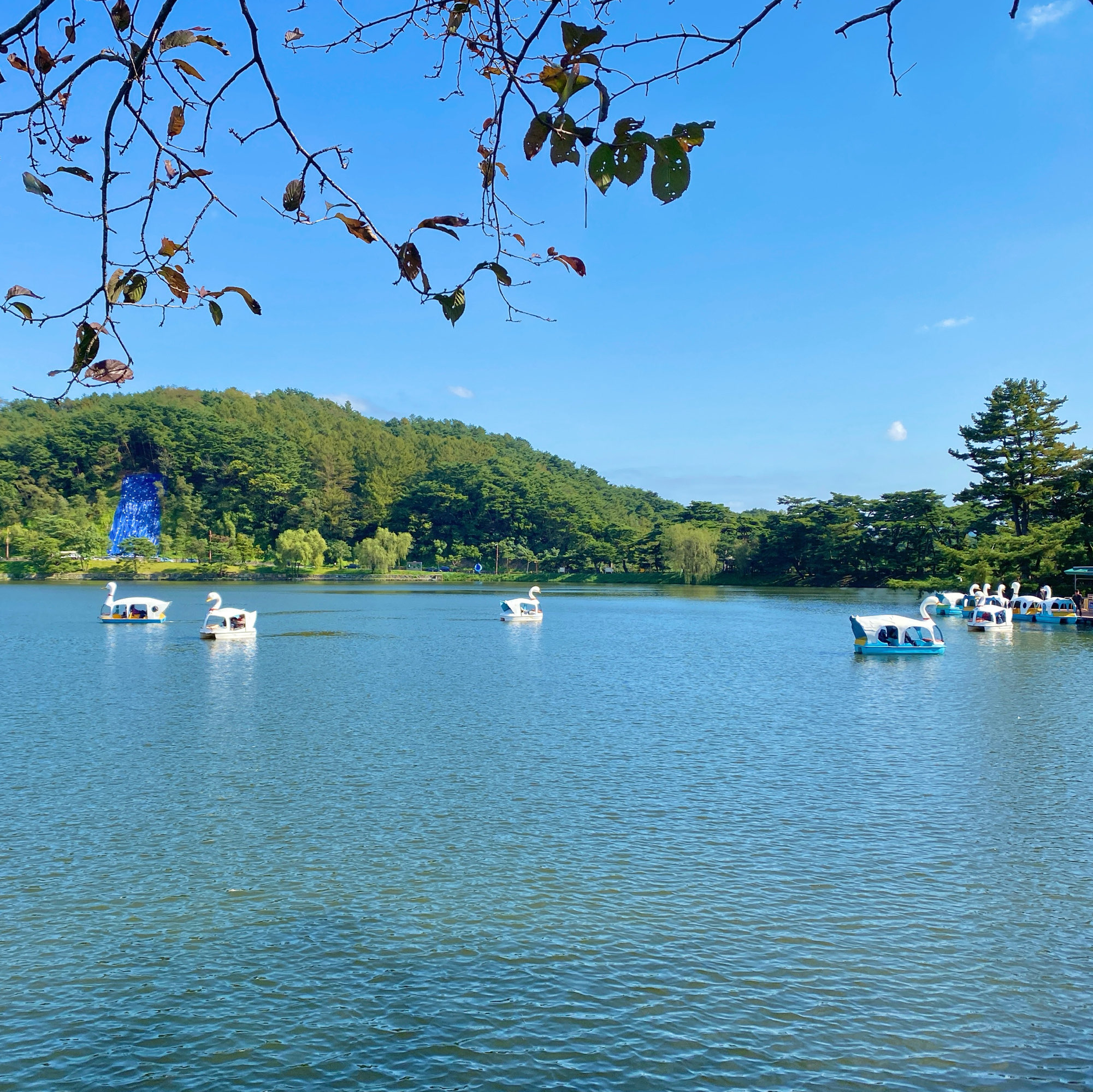 济川旅游第一推荐景点-宽敞美丽的湖水“义林地”