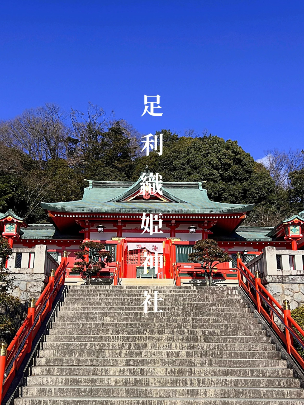 【足利】七色鸟居的足利织姬神社
