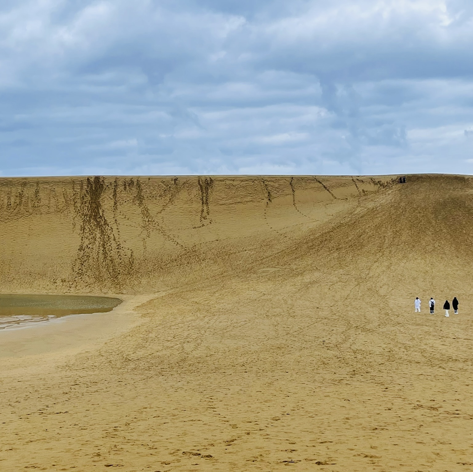 日本有巨大的沙漠吗?鸟取沙丘!