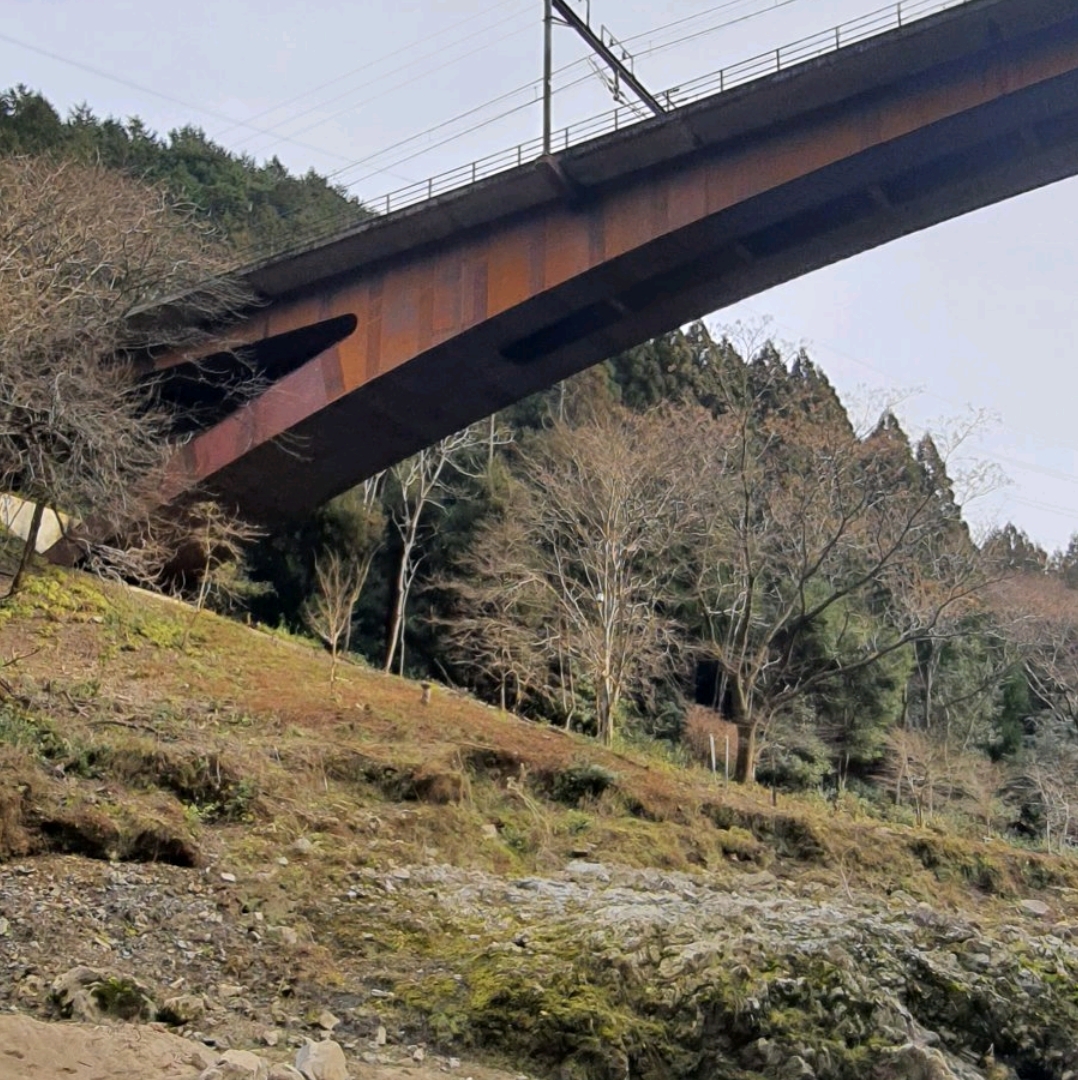 京都保津峡川美景