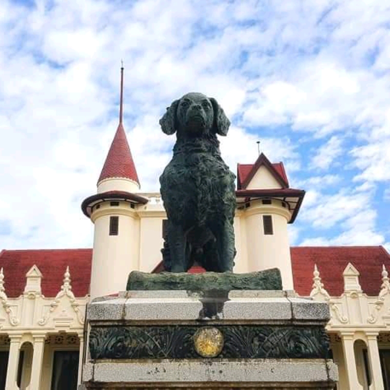 泰国唯一的狗纪念碑