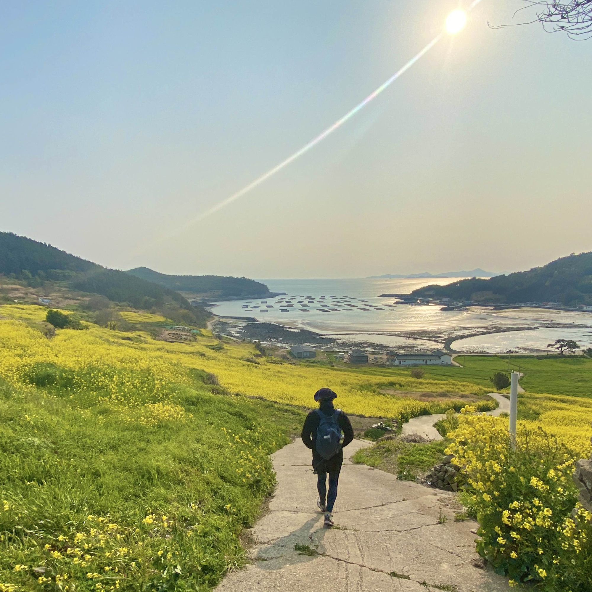 真正伟大的思想来自步行-清山岛春季旅行