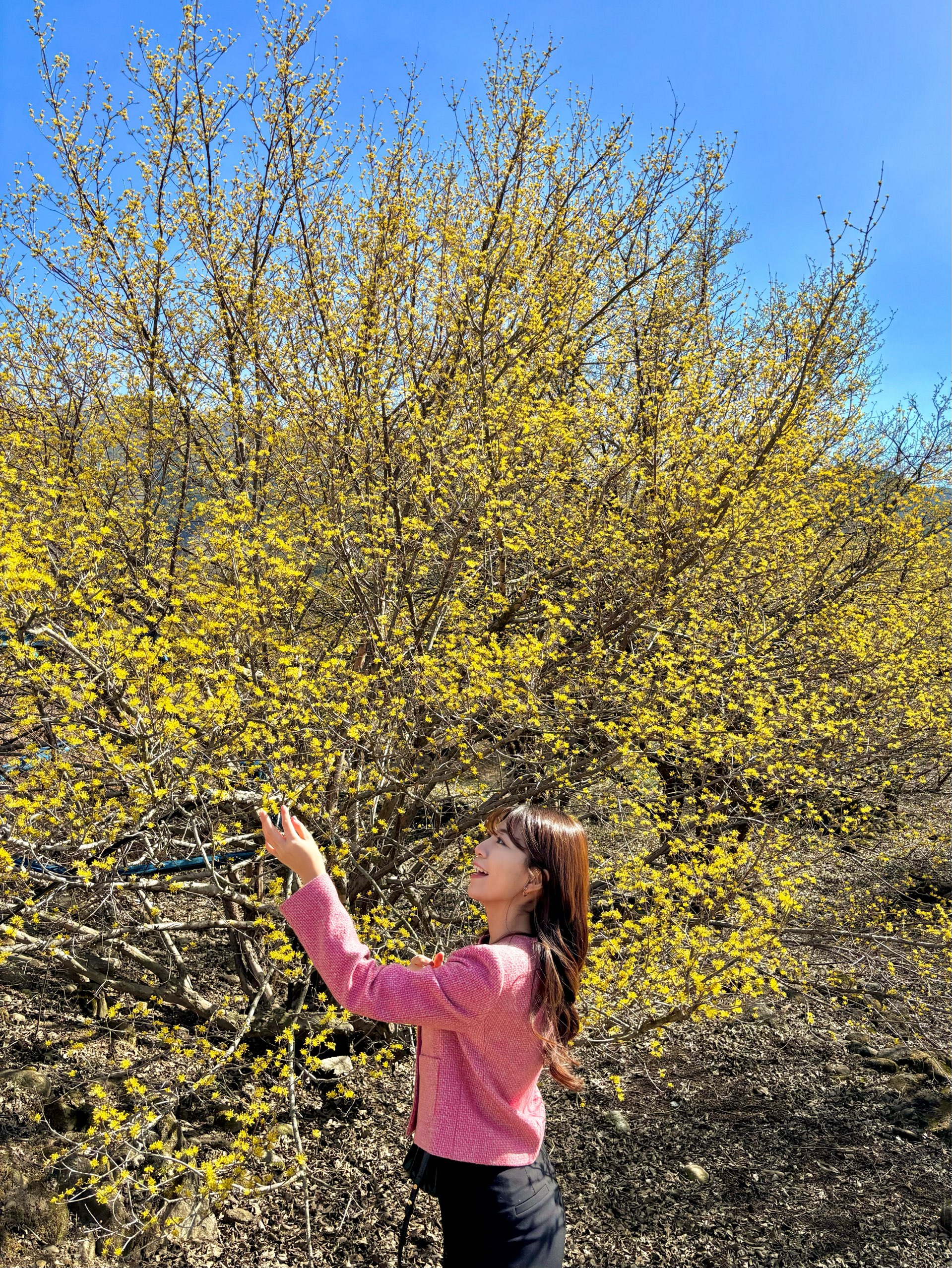 下周开始,九礼山水节仅在春季举行💛