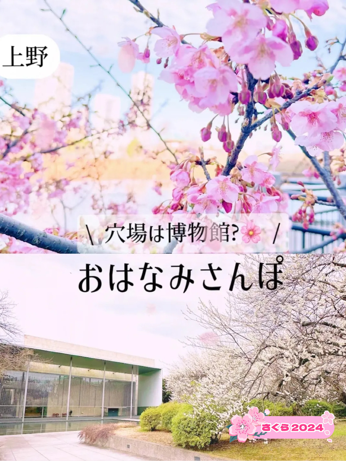【东京】初春和艺术的赏花景点