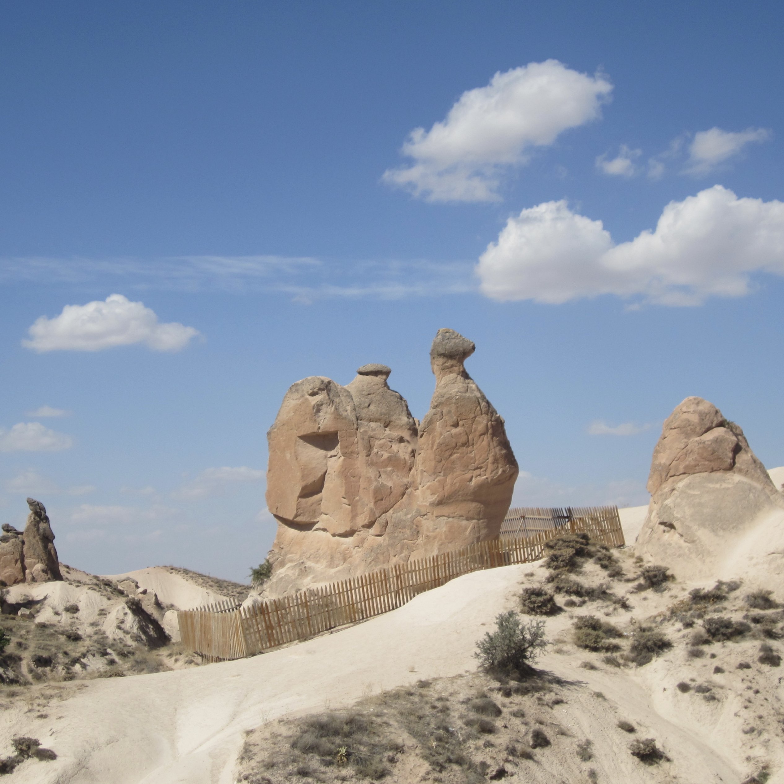怪石奇石之旅,骆驼石和家庭石