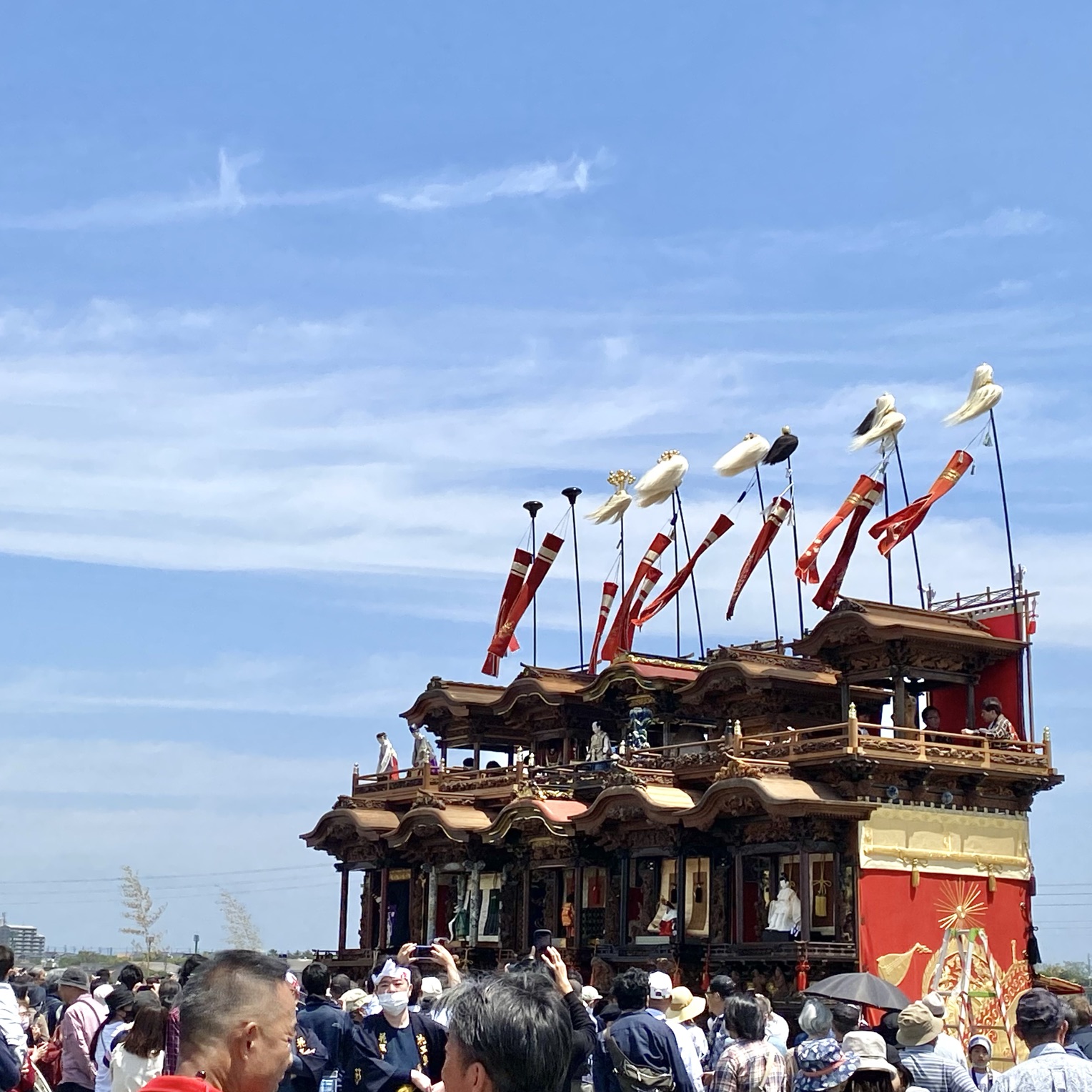 【知多半岛之旅】在龟崎海滨公园观赏充满活力的花车祭