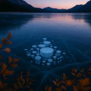 小土豆·旅行狂想曲🎶